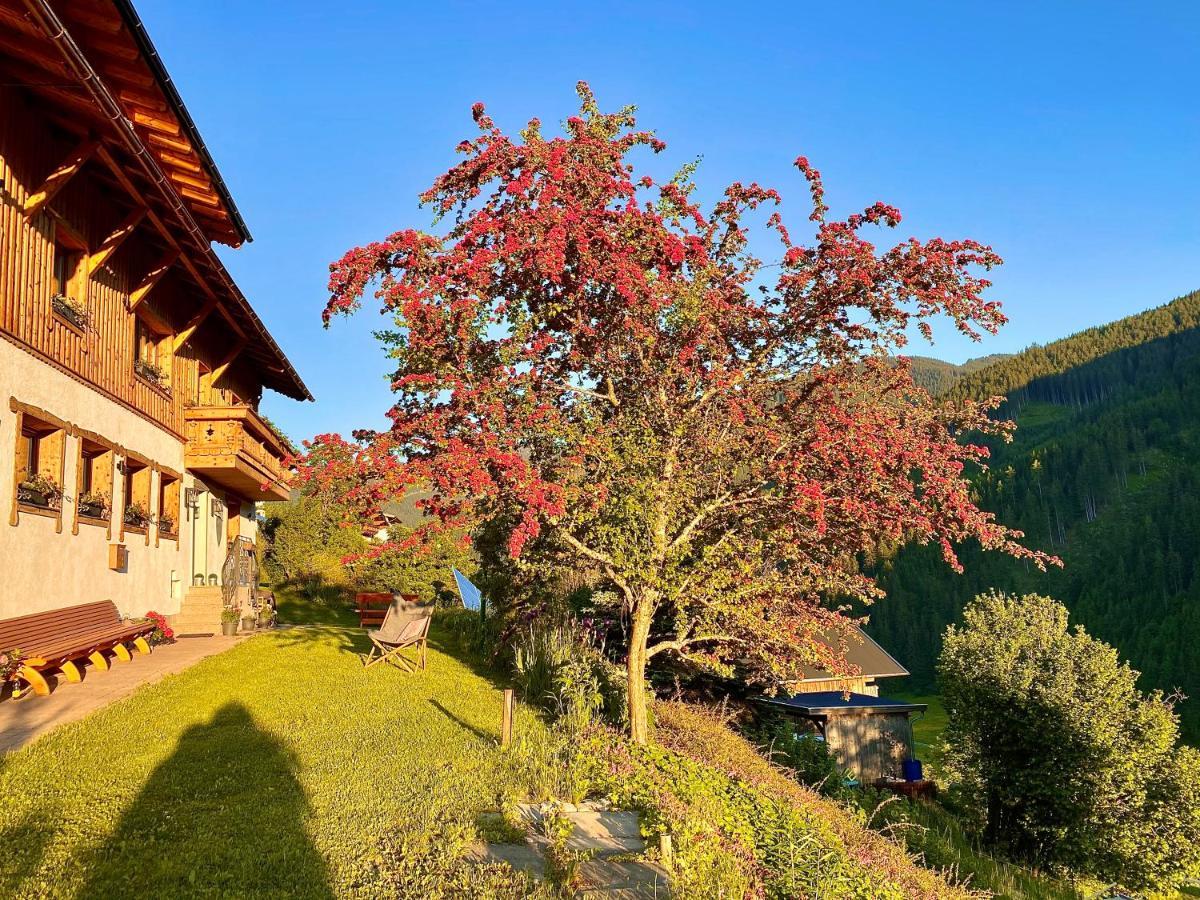 Alm Seasons Premium Chalet & Studios Saalbach-Hinterglemm Dış mekan fotoğraf
