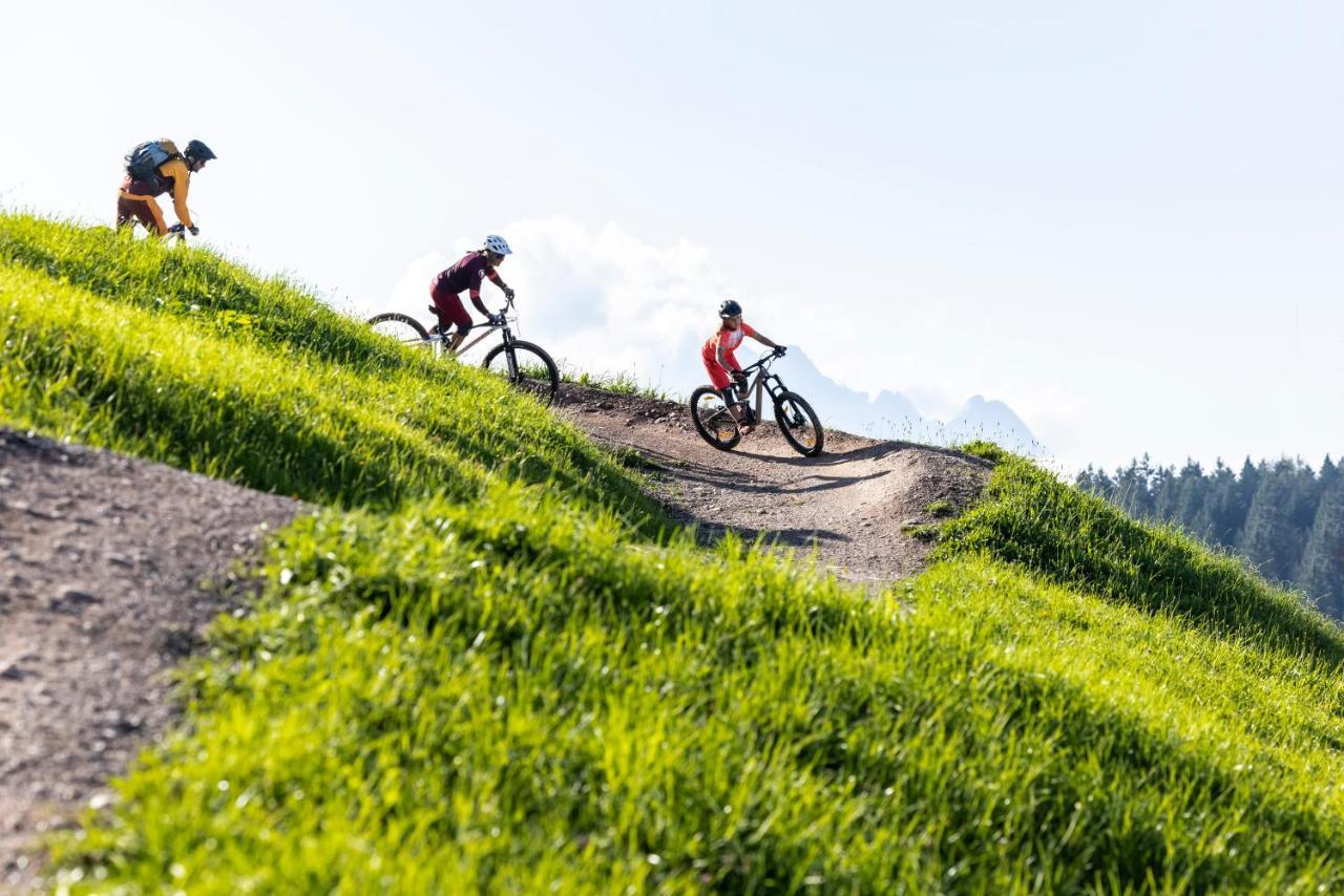 Alm Seasons Premium Chalet & Studios Saalbach-Hinterglemm Dış mekan fotoğraf