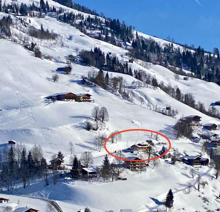 Alm Seasons Premium Chalet & Studios Saalbach-Hinterglemm Dış mekan fotoğraf