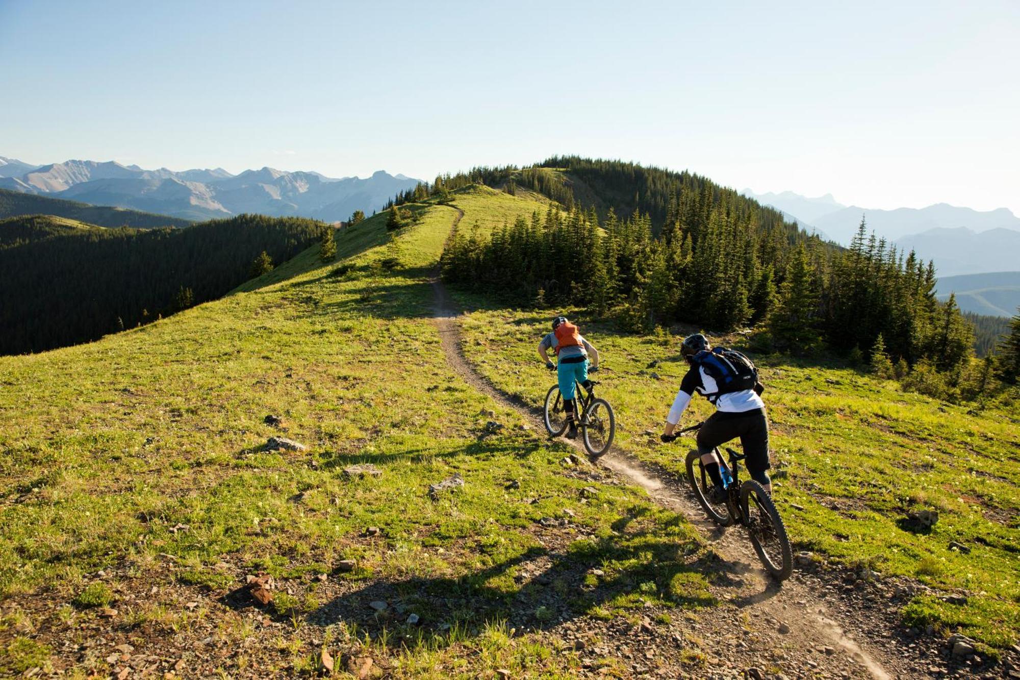 Alm Seasons Premium Chalet & Studios Saalbach-Hinterglemm Dış mekan fotoğraf